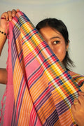 Multiple Striped Saree
