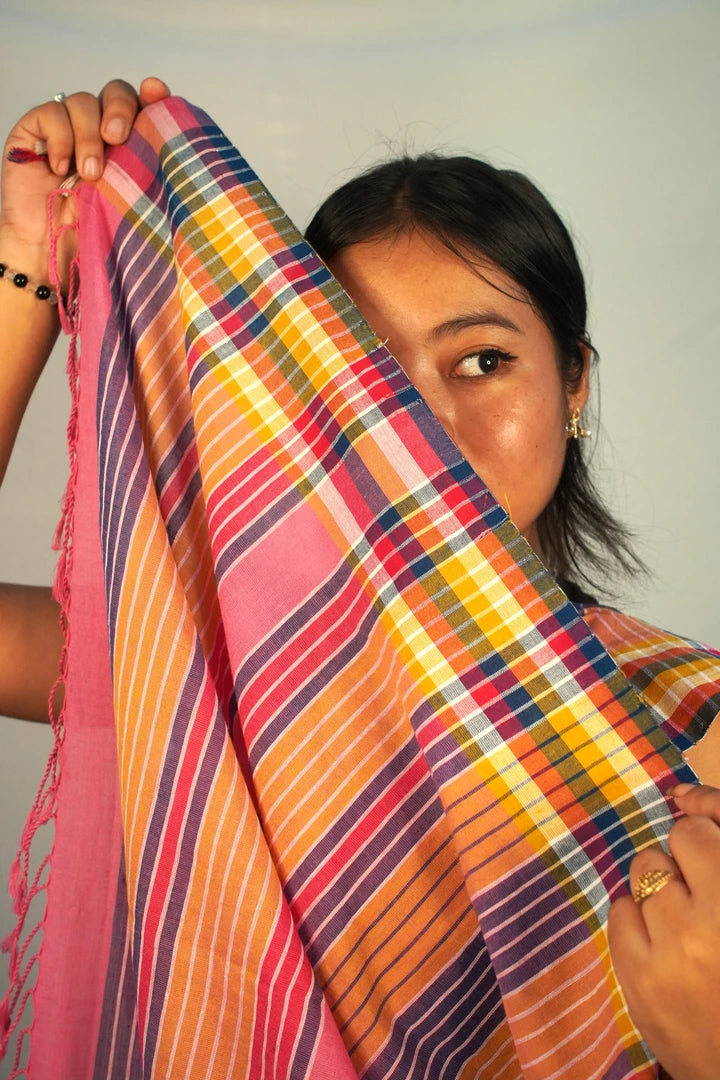 Multiple Striped Saree